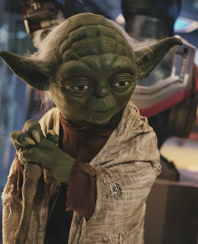Maître Yoda prend la pause en s'appuyant sur sa canne (Source : Riku Lu / Unsplash)